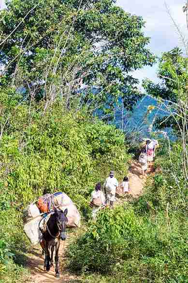 Wiwa family with donkey on mountain trail